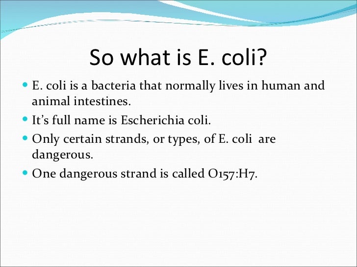 top 28 what is ecola a new pathogenic e coli francisco top 28 what is ecola a new pathogenic e coli francisco