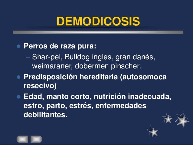 Las vitaminas para los cabellos que añadir en el champú