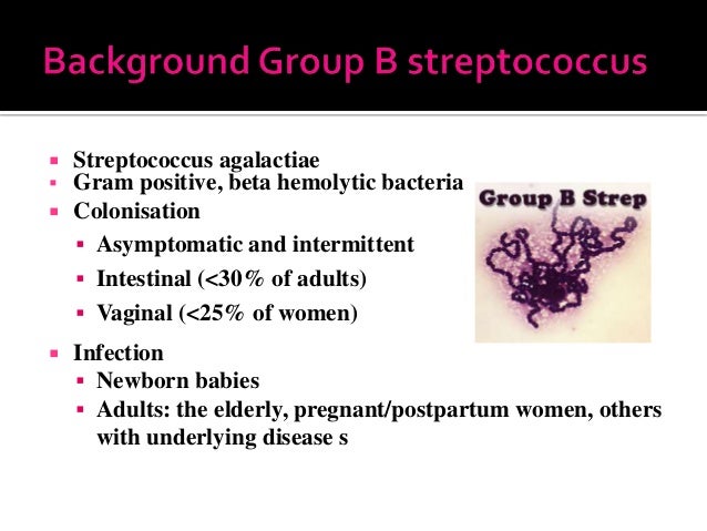 Group B Strep In Non Pregnant Women 29