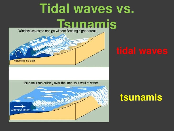 Tsunami vs wave