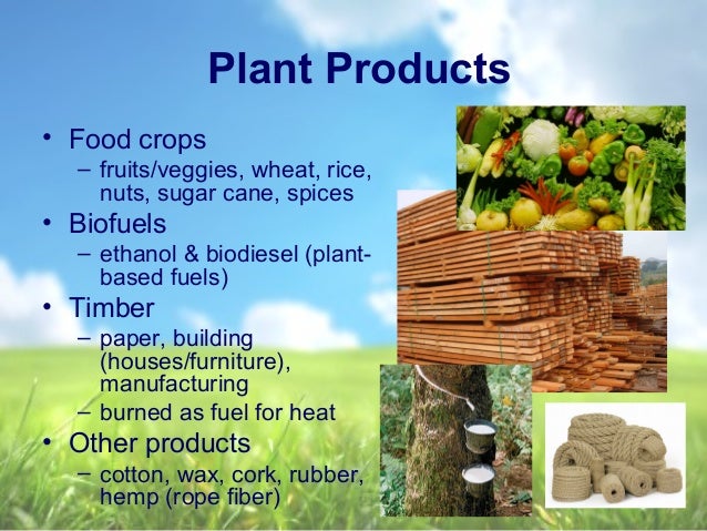 What Natural Resources Is Ink Made From What Natural Resources Is Ink Made From