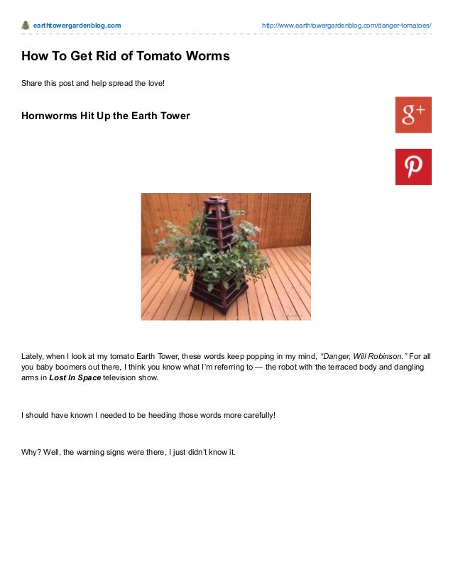 how to get rid of worms in a puppy earthtowergardenblog how to get rid of tomato worms how to get rid of worms in a puppy earthtowergardenblog how to get rid of tomato worms