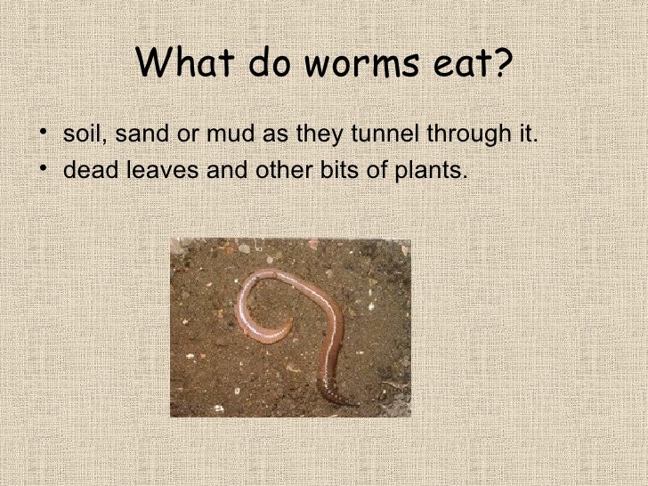 Earthworms