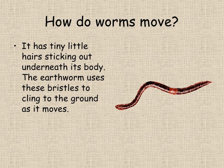 Earthworms