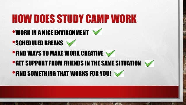 write my essay com