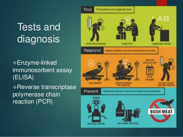 the symptoms diagnosis and therapy for ebola virus Watch the video of ebola virus know its symptoms, treatment, how it can infect, prevention of ebola virus. the symptoms diagnosis and therapy for ebola virus Watch the video of ebola virus know its symptoms, treatment, how it can infect, prevention of ebola virus.