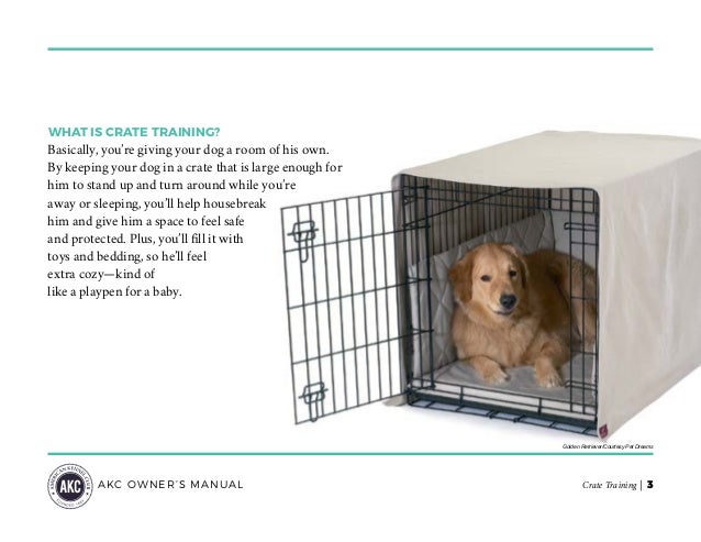 best crate for golden retriever guide to crate your best crate for golden retriever guide to crate your