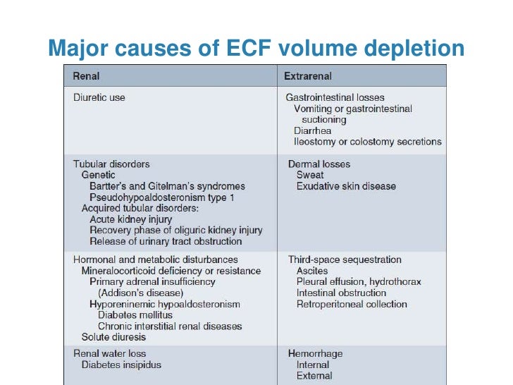 Extracellular fluid homeostasis