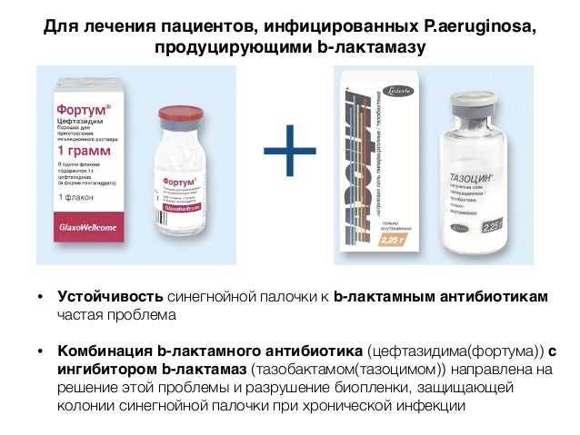 Все ветеринарные клиники лечащие эпилепсию