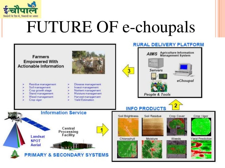 E choupal case study