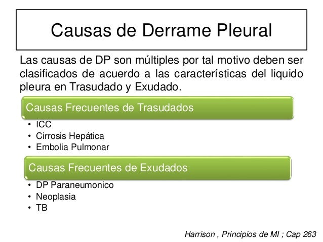 coches de alquiler españa tesla x 90d precio