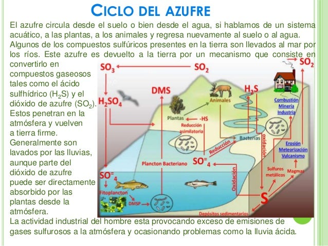 El coste de 95 gasolinas en lukoyl