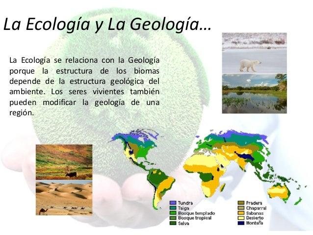 Ecología & educación ambiental