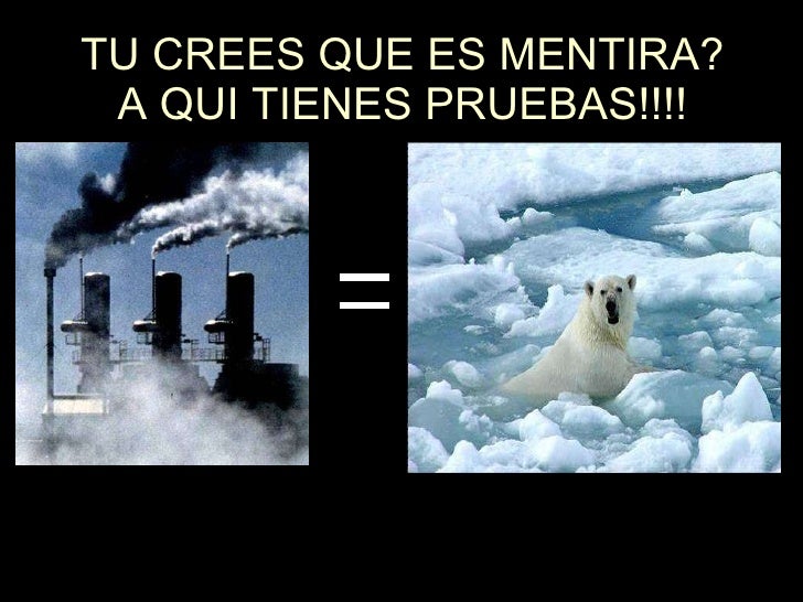 Forex es real o mentira