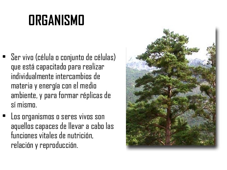 Organismo ecologia