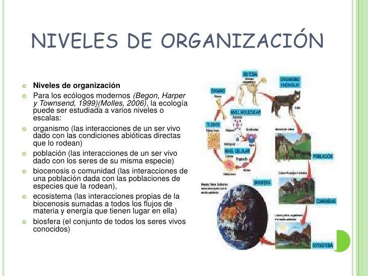 Ecologia presentacion