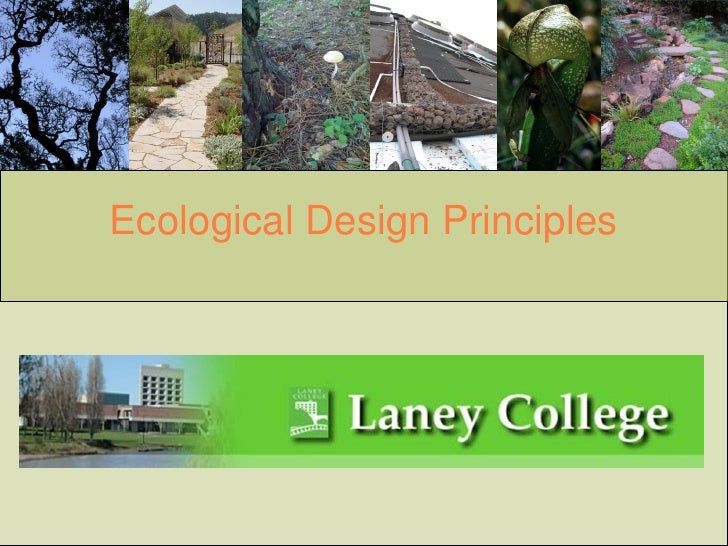 design principles eco Ecological principles design