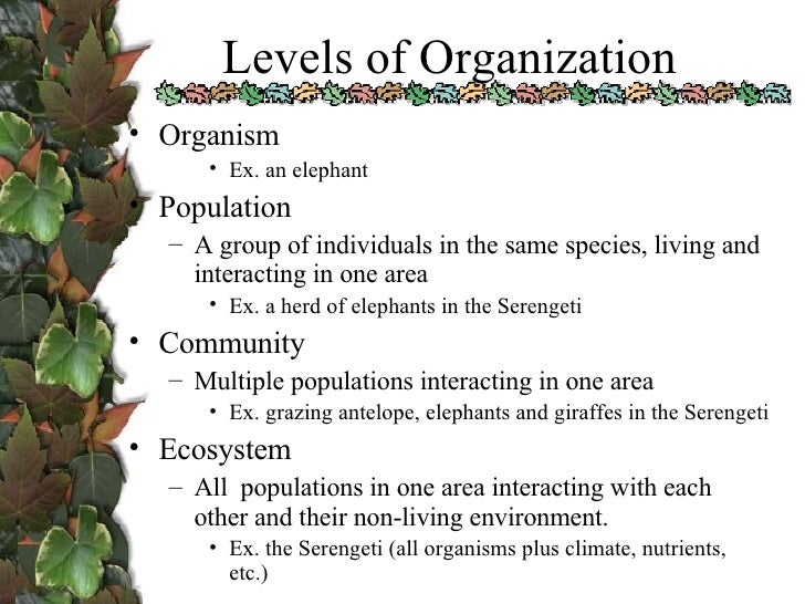Ecology 1