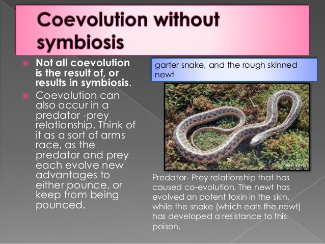 what are two types of relationships that can result from coevolution what are two types of relationships that can result from coevolution