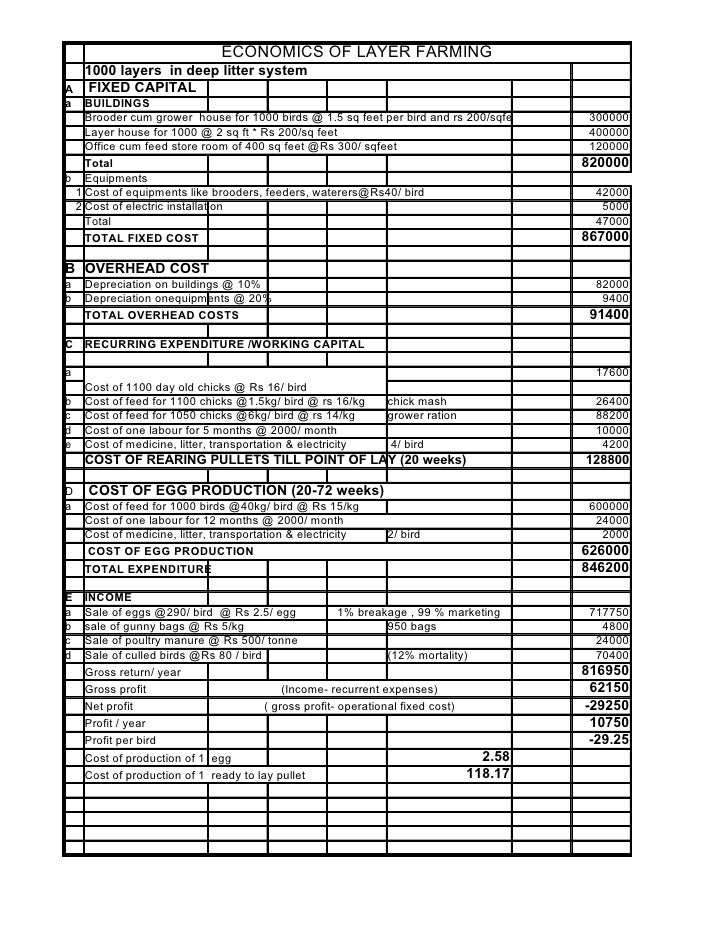 Free Poultry Business Plan Template
