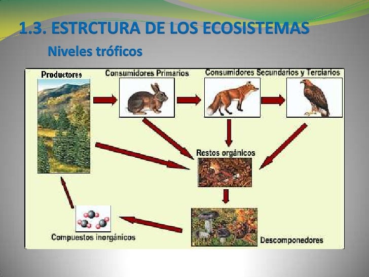 Resultado de imagen para sosten ecosistemas