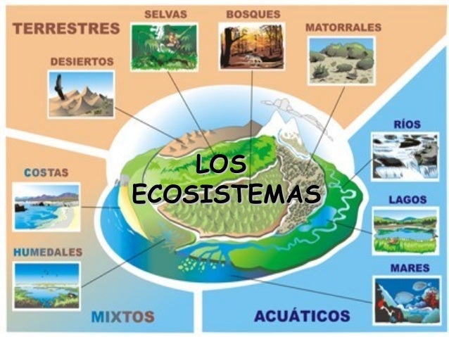Emiliano Santana Hernandez: Los Ecosistemas Emiliano Santana Hernandez: Los Ecosistemas