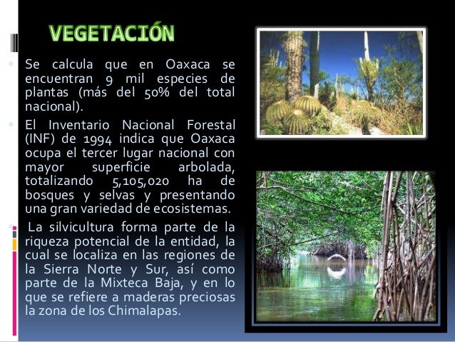 Ecosistemas del estado de oaxaca