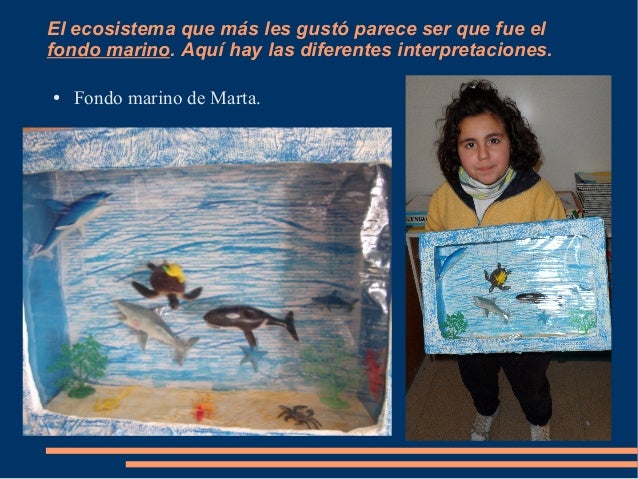 Ecosistemas maquetas i Ecosistemas maquetas i