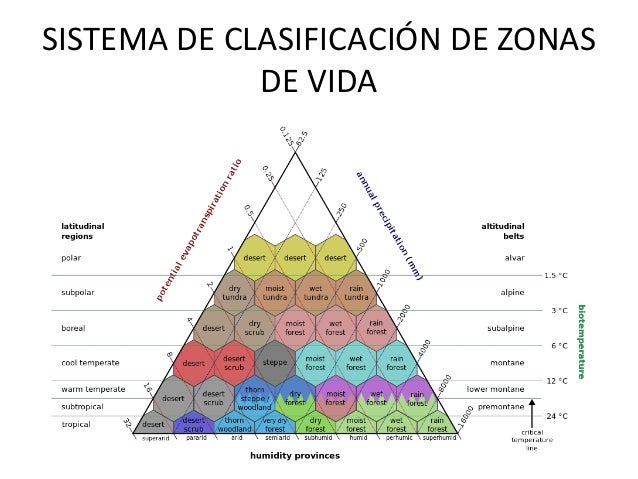 Imagenes De La Vida En Las Zonas Templadas | ecosistemas o biomas como zonas de vida Imagenes De La Vida En Las Zonas Templadas | ecosistemas o biomas como zonas de vida