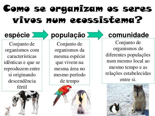 Ecossistemas