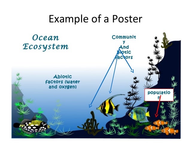 ocean ecosystem information ocean ecosystem information