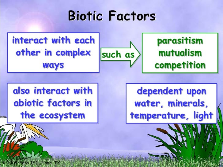 abiotic factors and its environment Key abiotic factors in biotic factors determine the success of a species in its particular ecosystem many biotic factors and pollutants in the environment. abiotic factors and its environment Key abiotic factors in biotic factors determine the success of a species in its particular ecosystem many biotic factors and pollutants in the environment.
