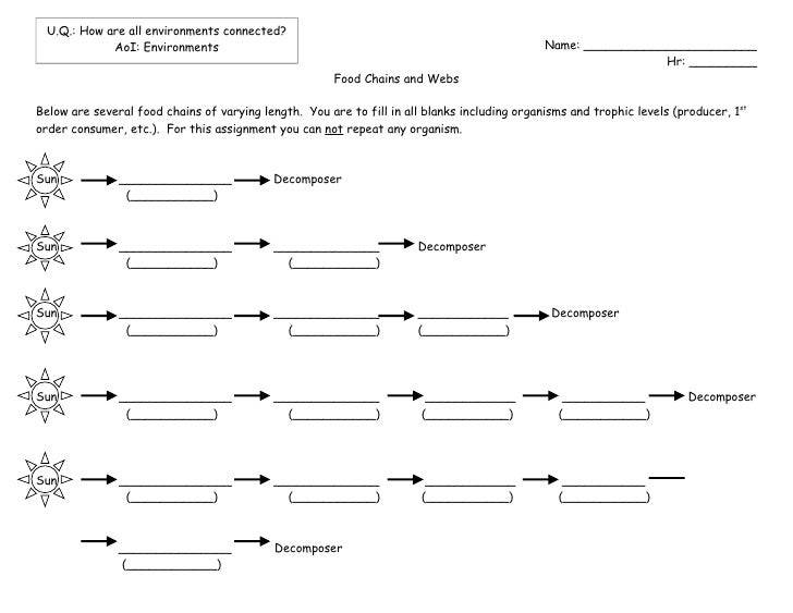 Worksheets Ecosystem Worksheet ecosystem worksheet abitlikethis energy flow through an 1