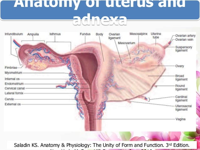 Ectopic Pregnancy Treatment recommendations Ectopic Pregnancy Treatment advise