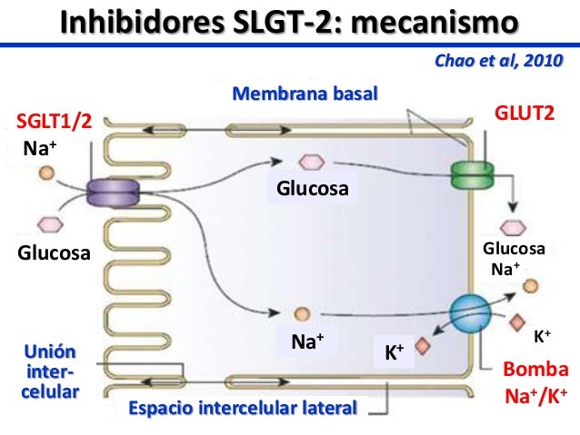 Análogos de GLP-1 e inhibidores de SLGT-2. Análogos de GLP-1 e inhibidores de SLGT-2.