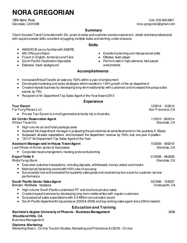resume travel consultant