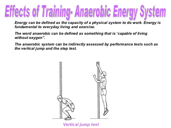 Effect Of Training On The Anaerobic Energy System