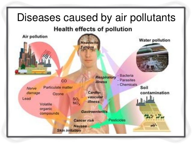 The Effects Of Air Pollution On Respiratory