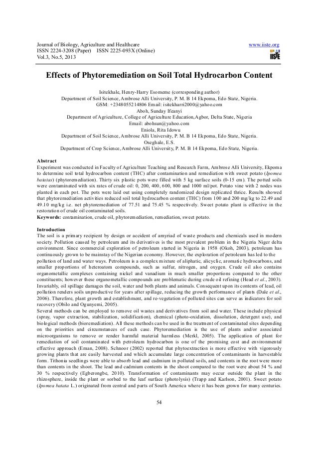 Explain moral relativism essay