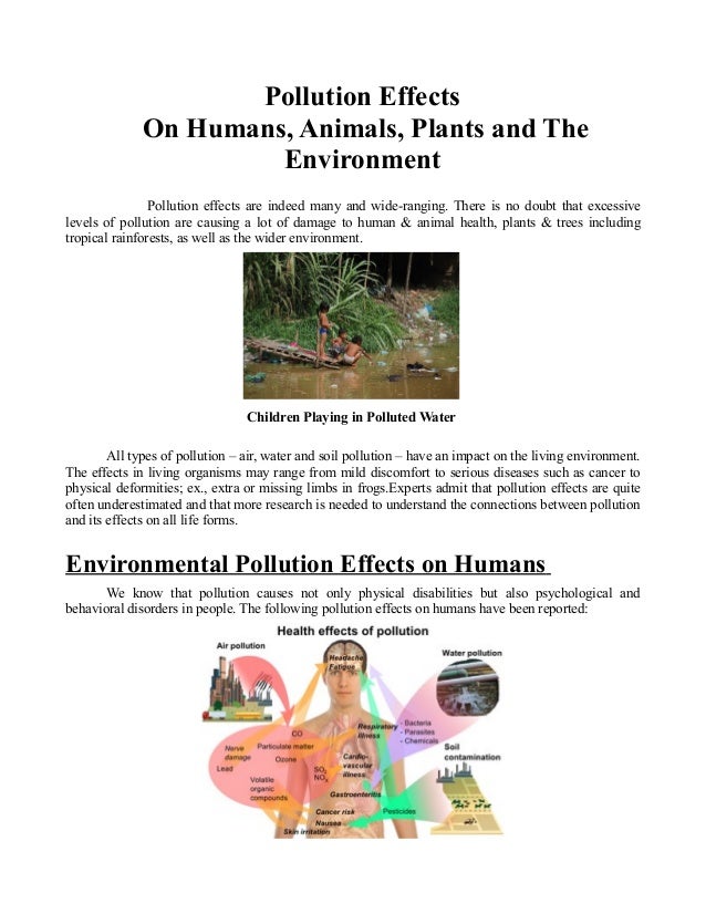 Pollution Effects On Humans, Animals, Plants and The Environment