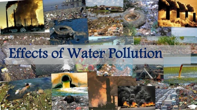 The Negative Effects Of Water Pollution