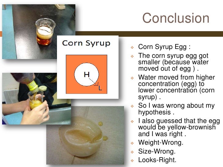 Nicole's Egg Osmosis Experiment