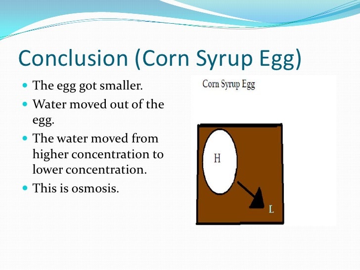 Marlo's Egg osmosis experiment