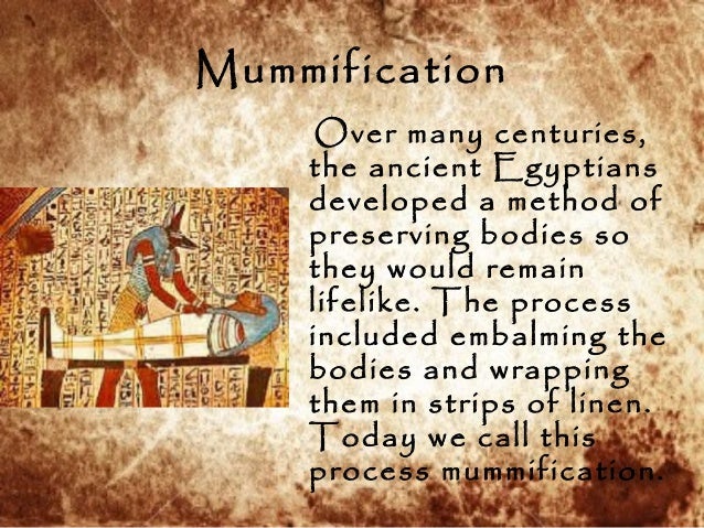 the culture and society of the early egyptian civilization As ancient civilizations go, the egyptians are by far one of the more well known society all society 10 ways ancient egyptians influenced modern. the culture and society of the early egyptian civilization As ancient civilizations go, the egyptians are by far one of the more well known society all society 10 ways ancient egyptians influenced modern.