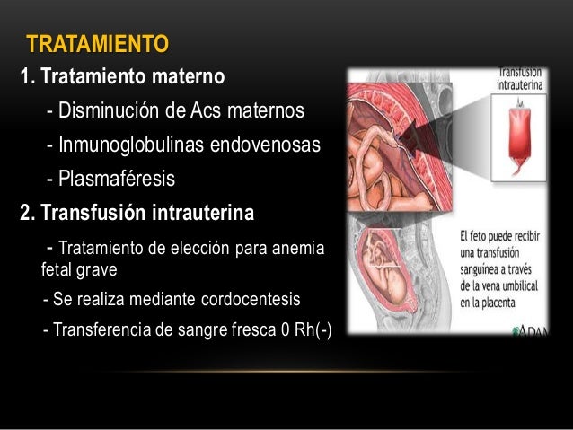 El doctor seleznev el tratamiento del alcoholismo