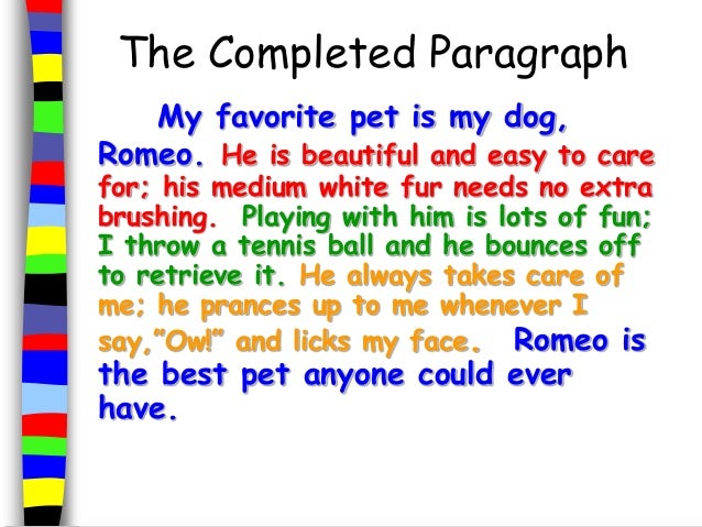 My favourite animal - SlideShare