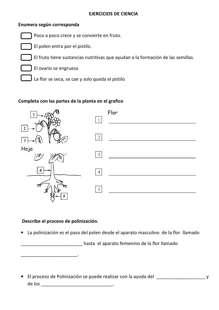 EJERCICIOS DE CIENCIA NATURALES ejercicios de ciencia naturales: