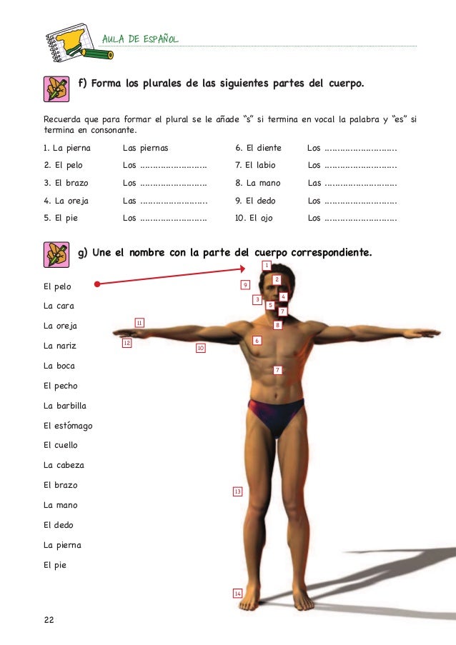 Que medios para los cabellos que trenzan más vale