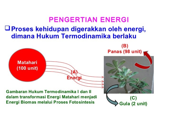 Ekologi Perairan