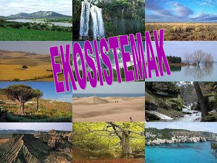 http://www.elhuyar.org/unitate_praktikoak/UP-Ekosistemak/index.html